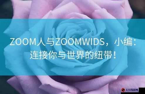 ZOOM 人与 ZOOMWIDS：探索神秘的数字世界