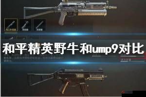 野战精英：和平精英中野牛与UMP9性能对比及选择分析