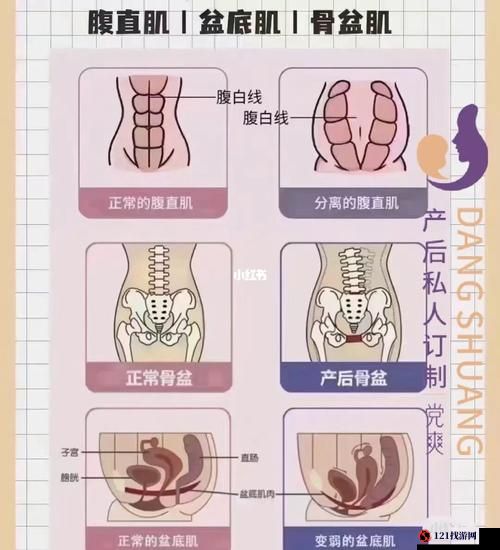 都生过孩子了还那么紧：产后身体的奇妙变化