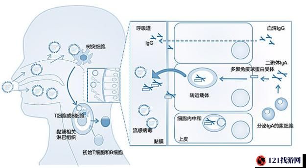 玩具大乱斗公测时间揭秘：期待已久的新篇章即将开启