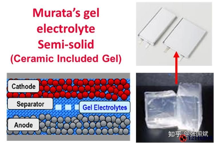 活体脑细胞中芯片凝胶电池位置详细解析 到底芯片凝胶电池在何处