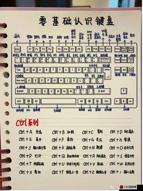 迷你忍者键盘操作全方位详细解读及技巧攻略分享